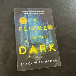 A Flicker In the Dark Stacy Willingham Mystery Book - Thriller Book